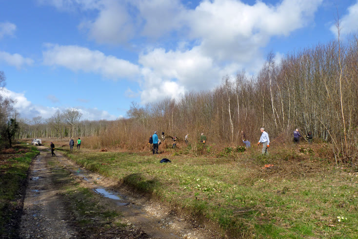 Volunteers at a work party